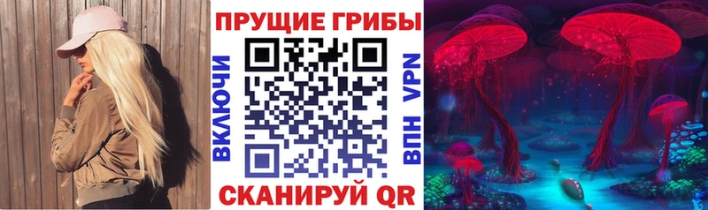 Галлюциногенные грибы мухоморы  Почеп 
